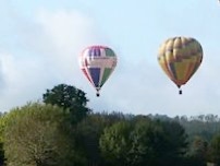 Deux mongolfières dans un ciel bleu et au dessus d'une forêt.